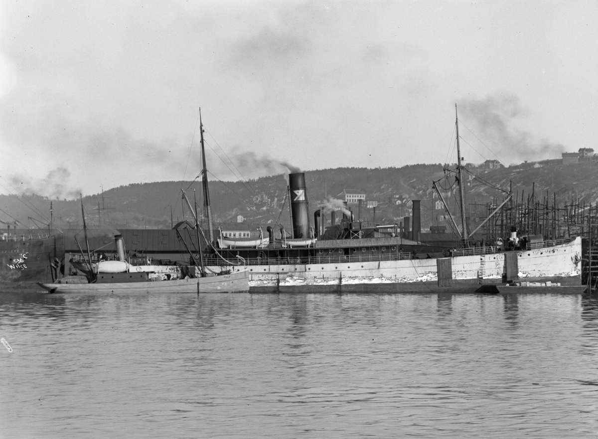 Anders Beer Wilse, D/S Scotland (b. 1904, Grangemouth & Greenock Dockyard Co., Grangemouth)