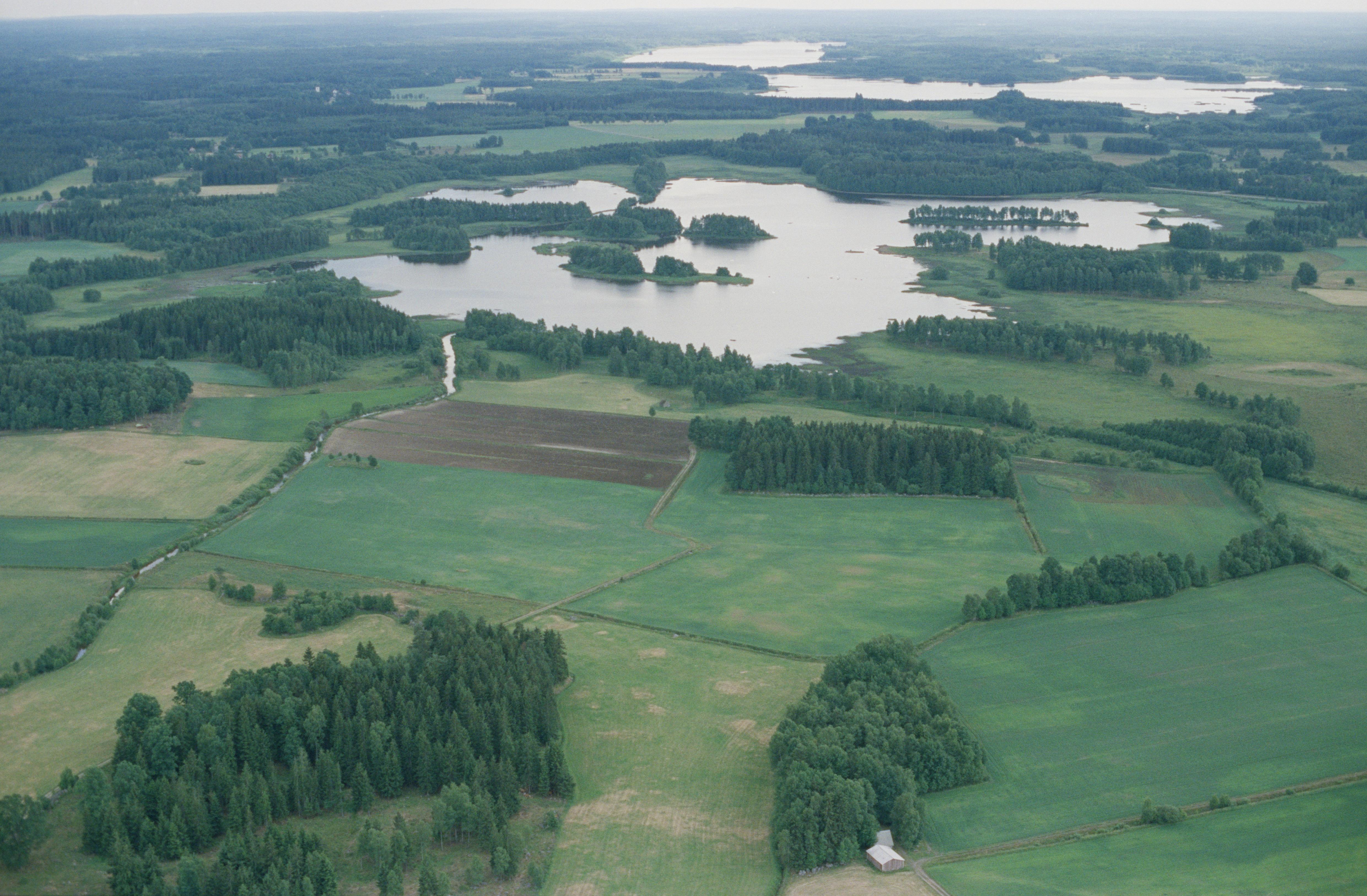 Jan Norrman, Virestad 265:1