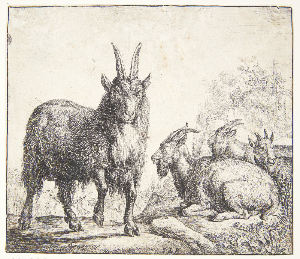 Simon de Vlieger, Fire geder