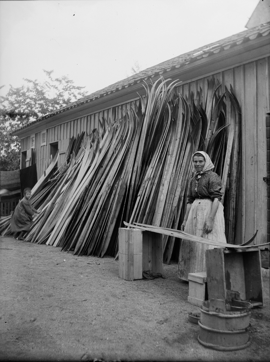 Carl Liljefors, Skidor, Liljefors Krut- and Vintersporthandel, SvartSkSkden 37, the district Edda, SvartSk, Uppsala 1900 - 1901