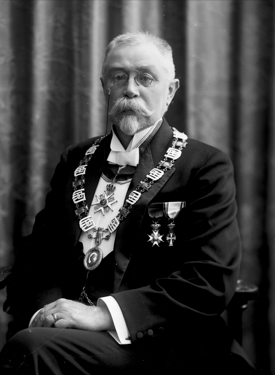 Gustav Borgen, Portrett, rektor ved universitetet i Oslo. Professor Morgenstjerna.