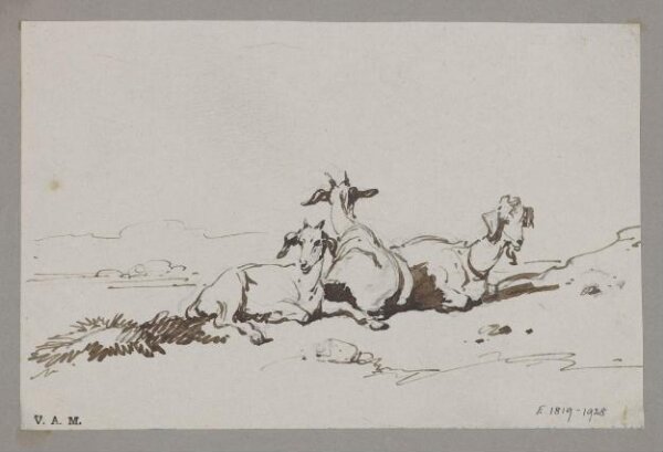 George Chinnery, Three goats