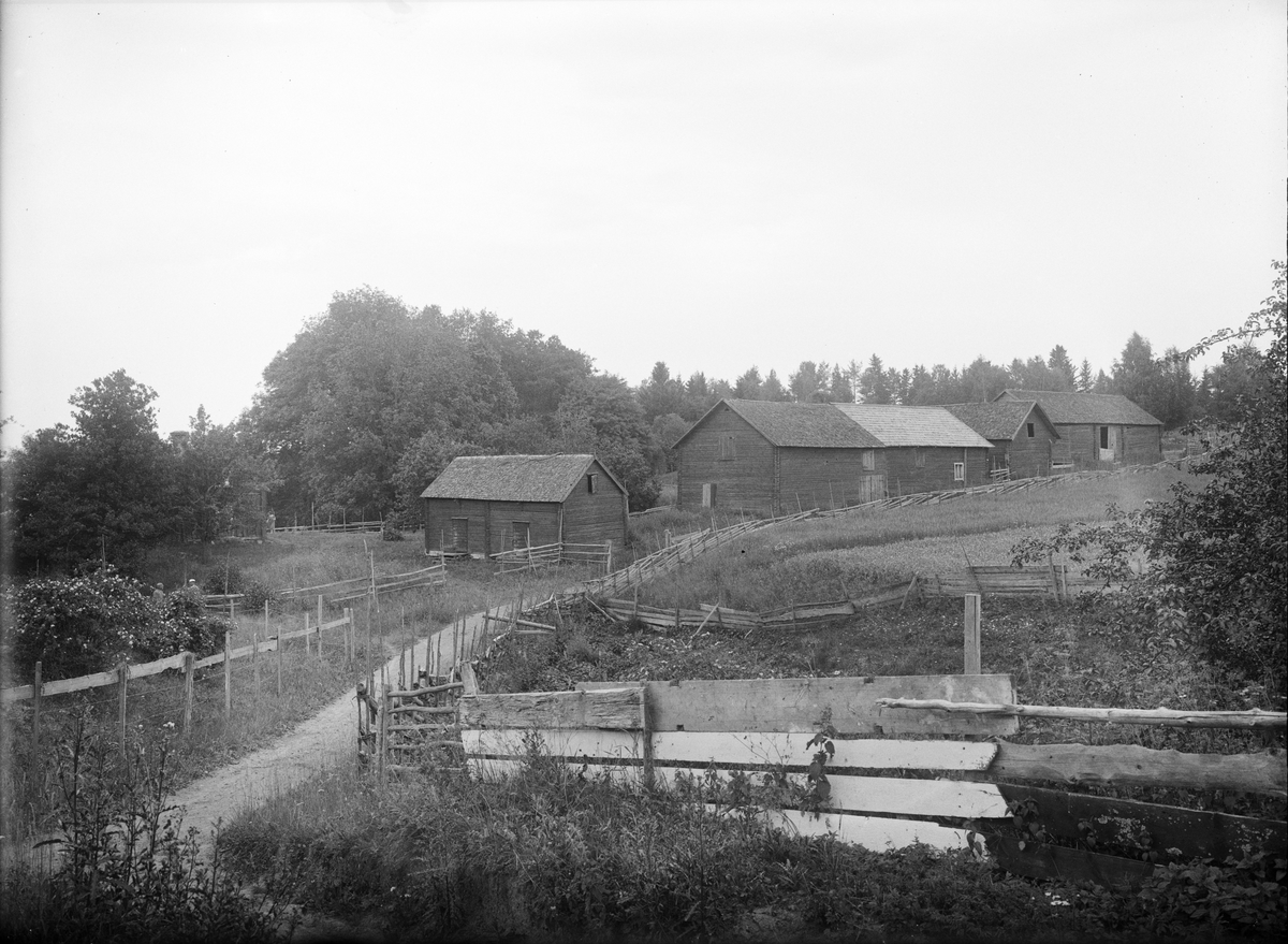Paul Sandberg, Ödegård tillhörande Ytternäs i Vreta, Dalby socken (Uppsala-Näs socken), Uppland sannolikt 1920-tal