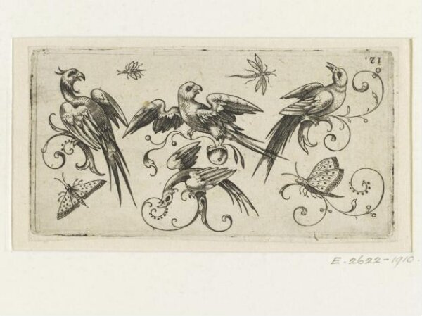 Unknown, Print