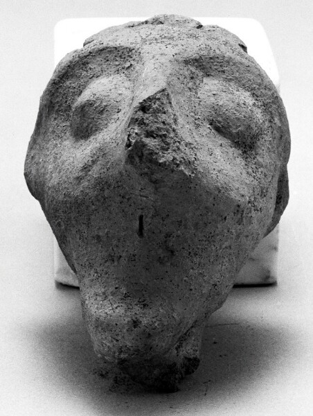 Unknown, Male Head
