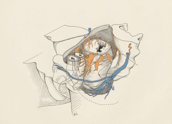 J Tinkelenberg, Embryonic tissue