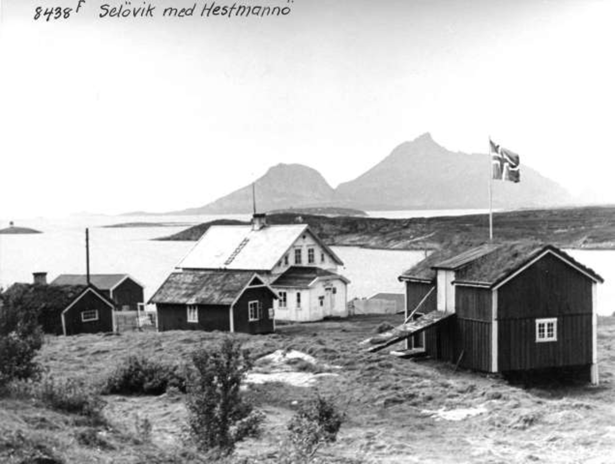 Anders Beer Wilse, -5820