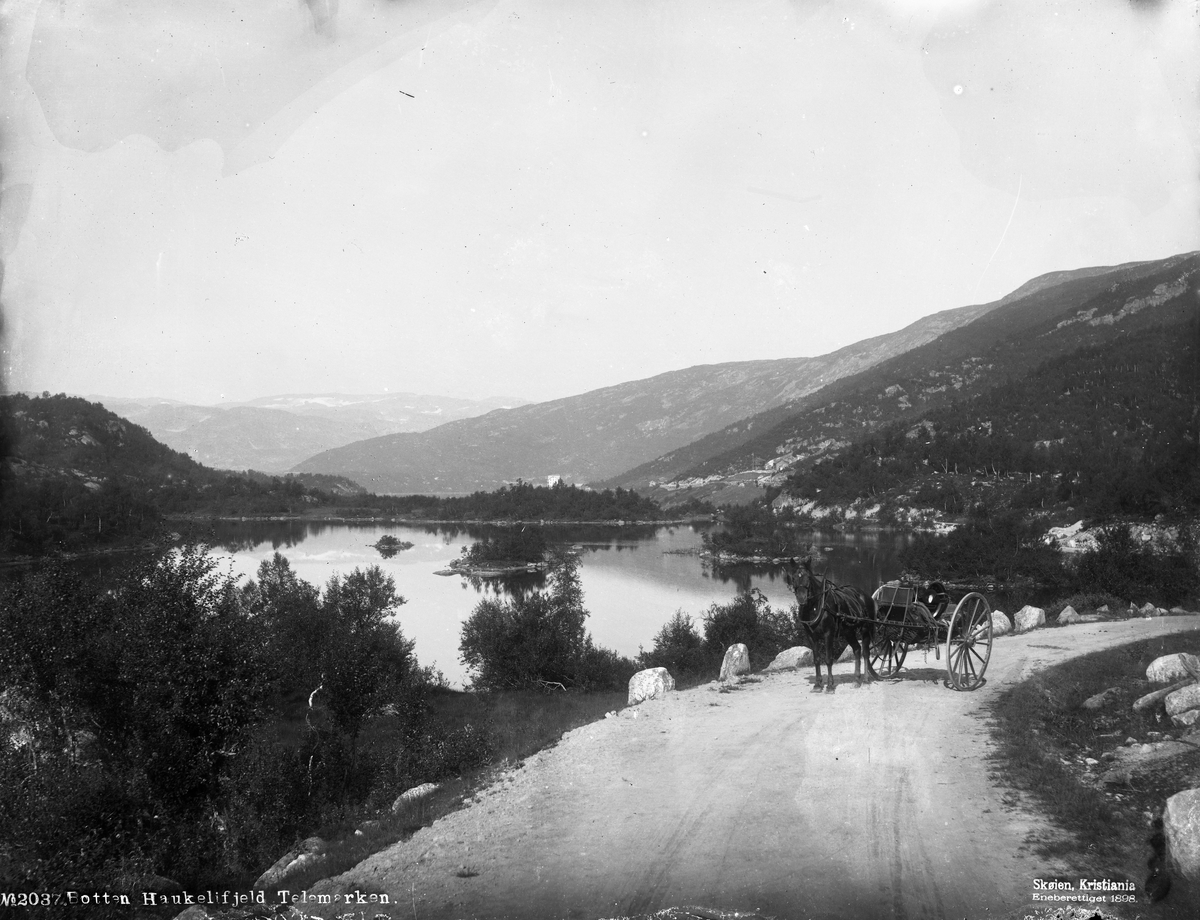 Marthinius Skøien, Botten Haukelifjeld Telemarken.
