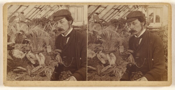 Unknown, [Man with moustache, wearing cap, posed with flowers in greenhouse]