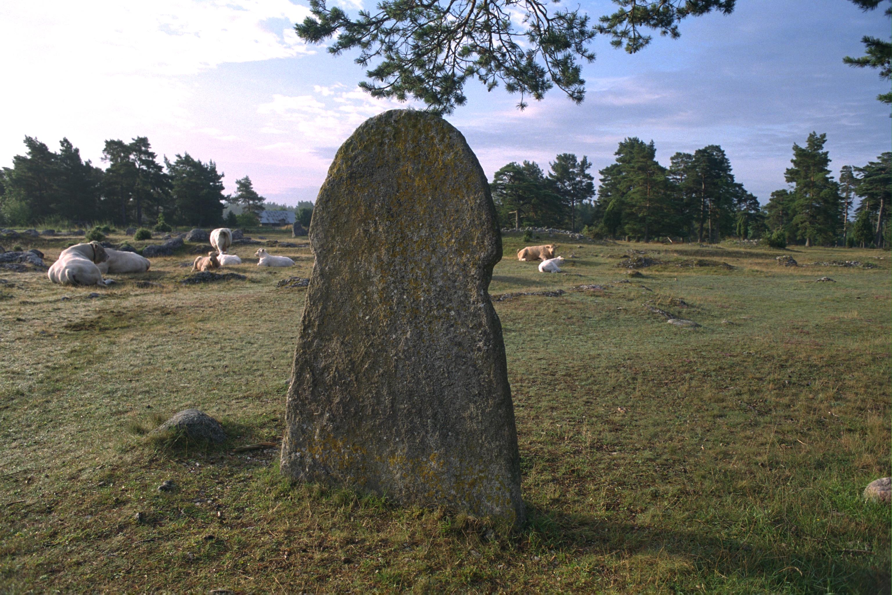 Bengt A Lundberg, G109 Alskog Gålrum