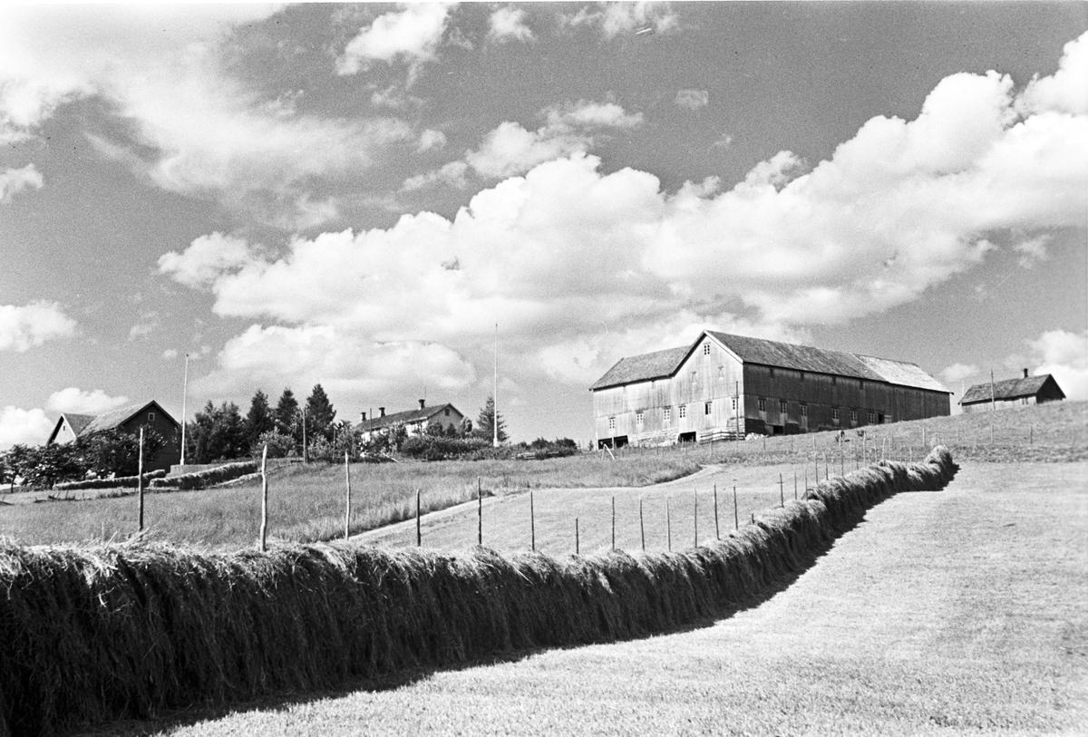 Anders Beer Wilse, Prot: Snåsa