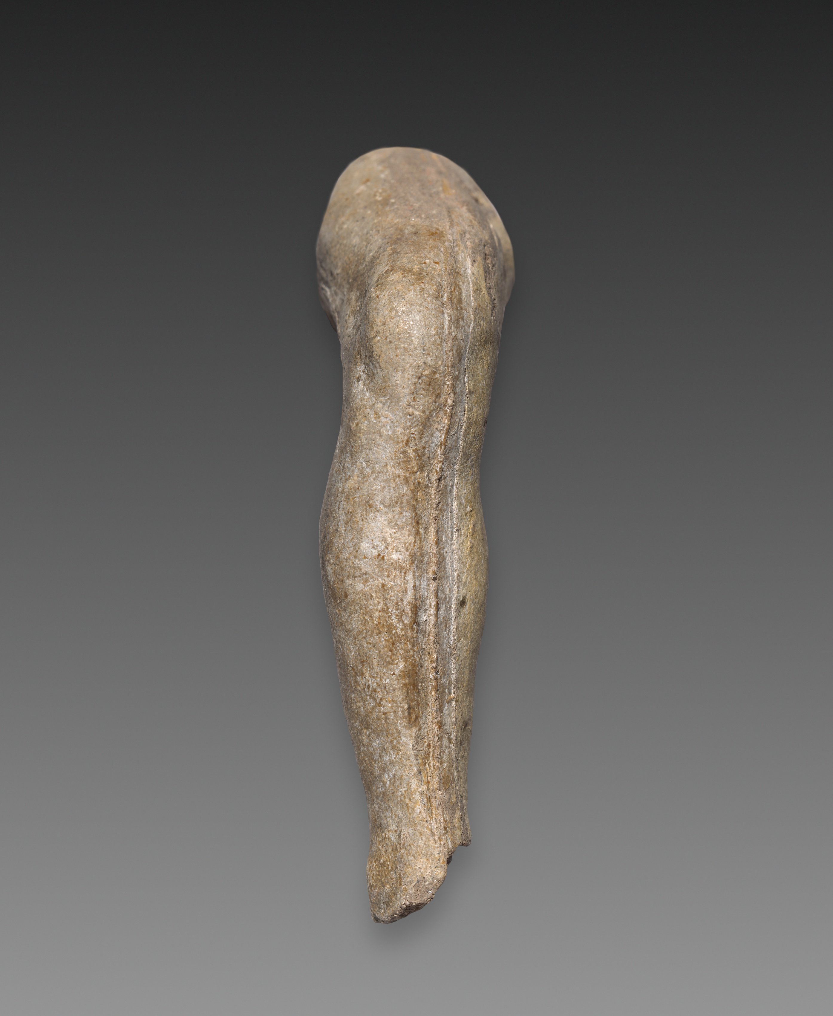 Auguste Rodin, Fragment of a Leg (right leg)