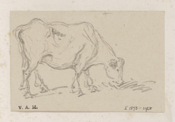 George Chinnery, A grazing cow