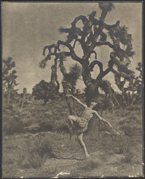 Louis Fleckenstein, Inspiration of the Dance