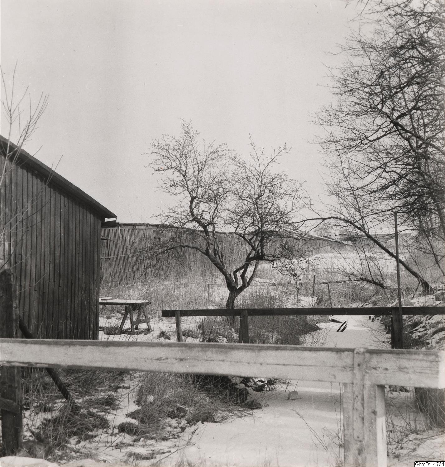 Harald Wideen, bilder, påsiktsbild, fotografi