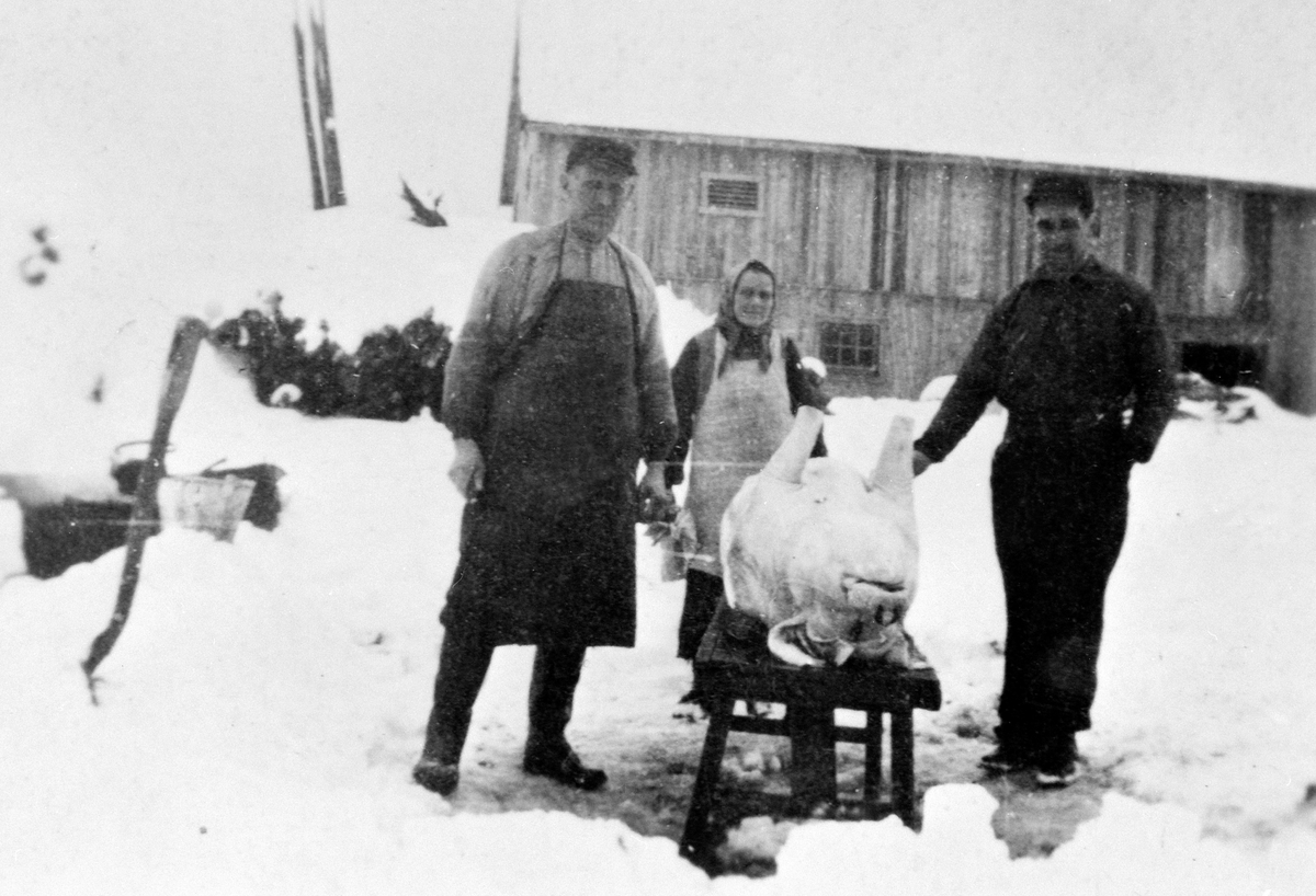 Anno Domkirkeodden, SLAKTING AV GRIS, SLAKTER KLAUDI MONSRUD, SANNA WEIDEBORG, ANTON HØIBY, SLAKTEBENK, UTENDØRS, VINTER, VEIDEBORG, LØTEN