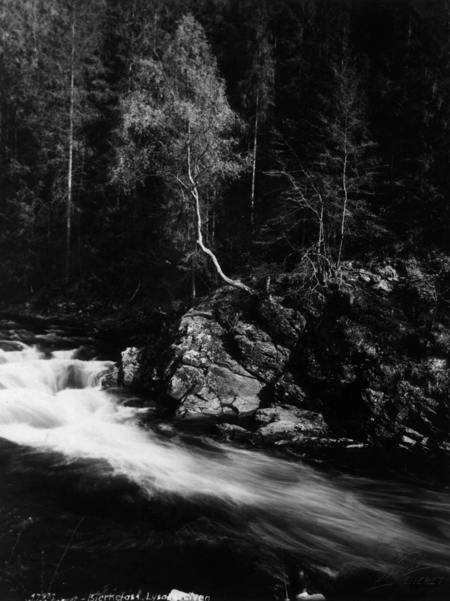 Anders Beer Wilse, Lysakerelva