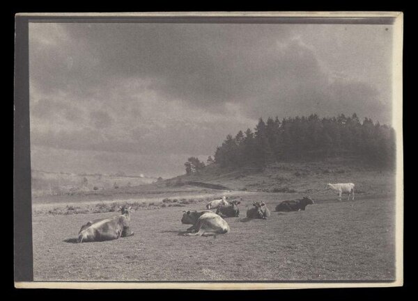Gale, Lt. Col. Joseph, Rural Life