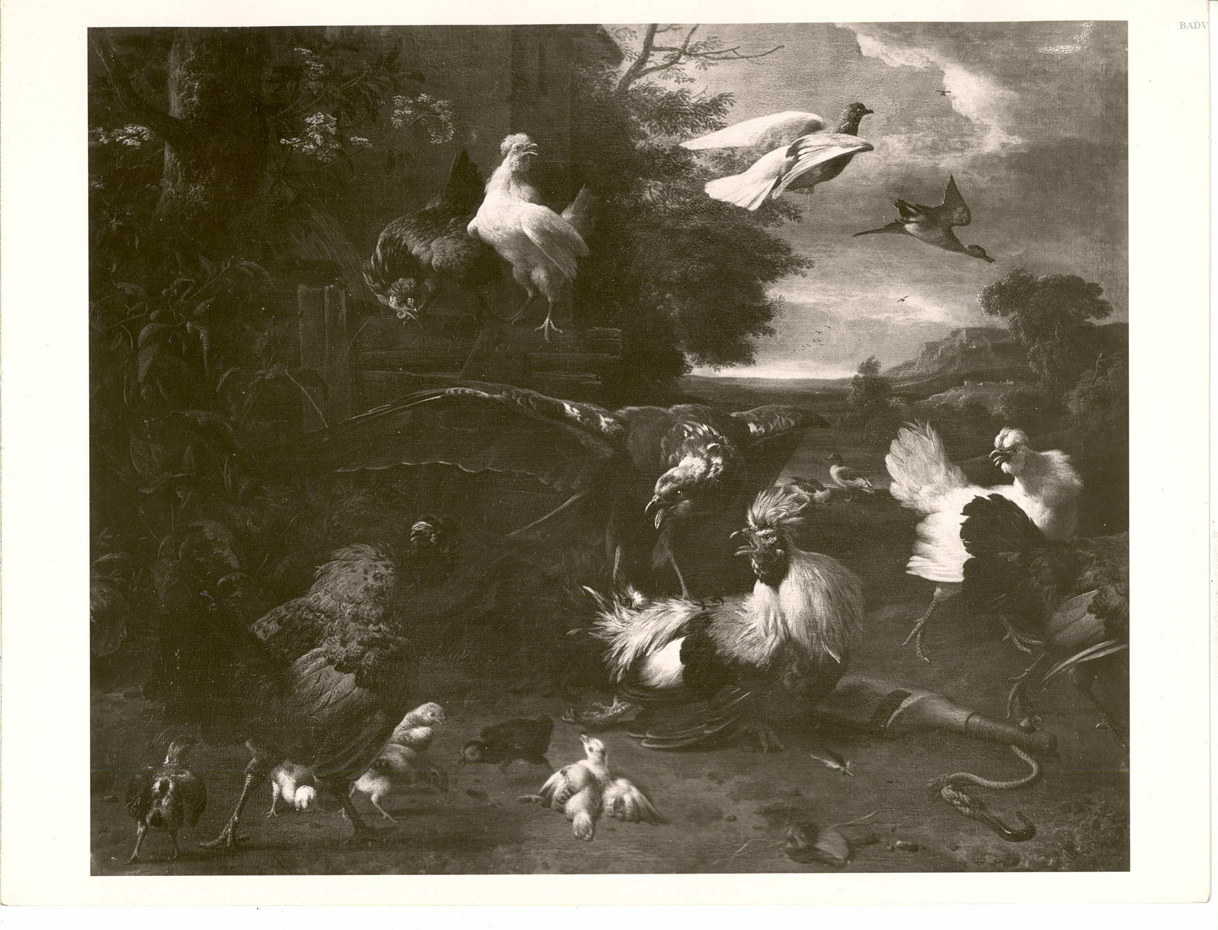 Melchior d'Hondecoeter, Hühnerhof mit einfallendem Bussard, der einen Hahn schlägt