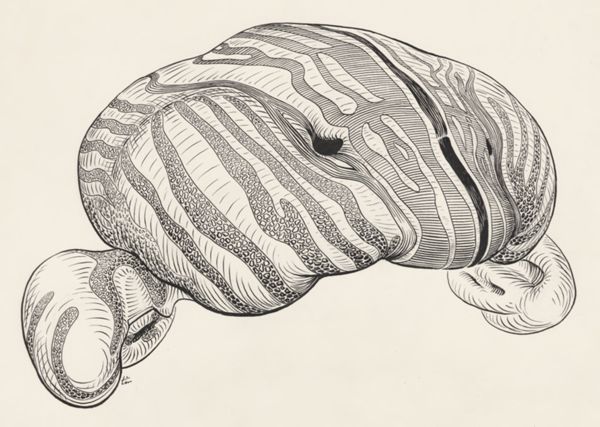 J Tinkelenberg, Part of the central nervous system