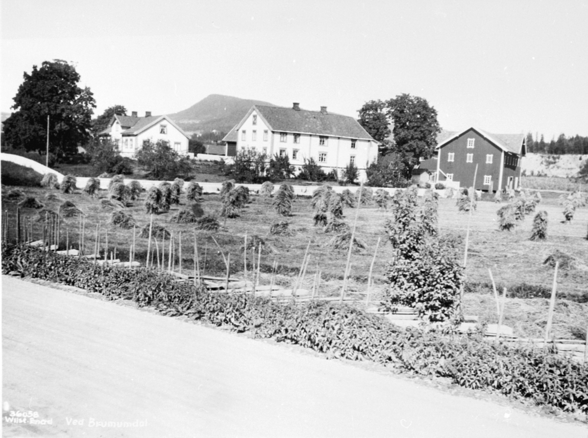 Anno Domkirkeodden, Buttekvern gård sett fra riksveg 50, Brumunddal. Kornsnes i forgrunn.