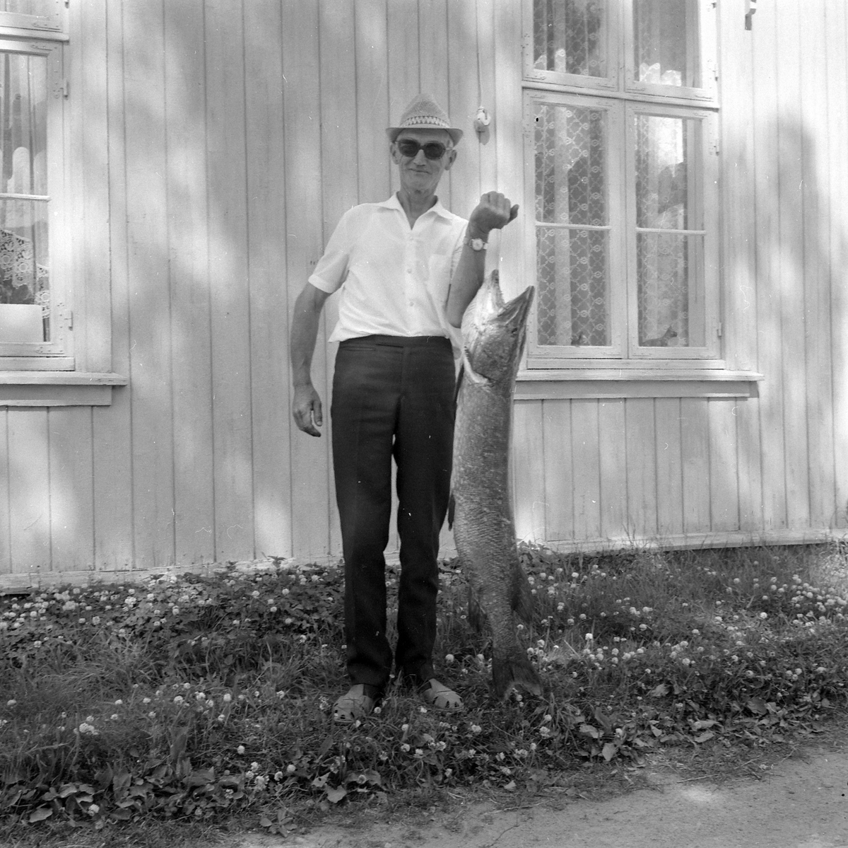 Adolf Skjegstad, ASK-03482