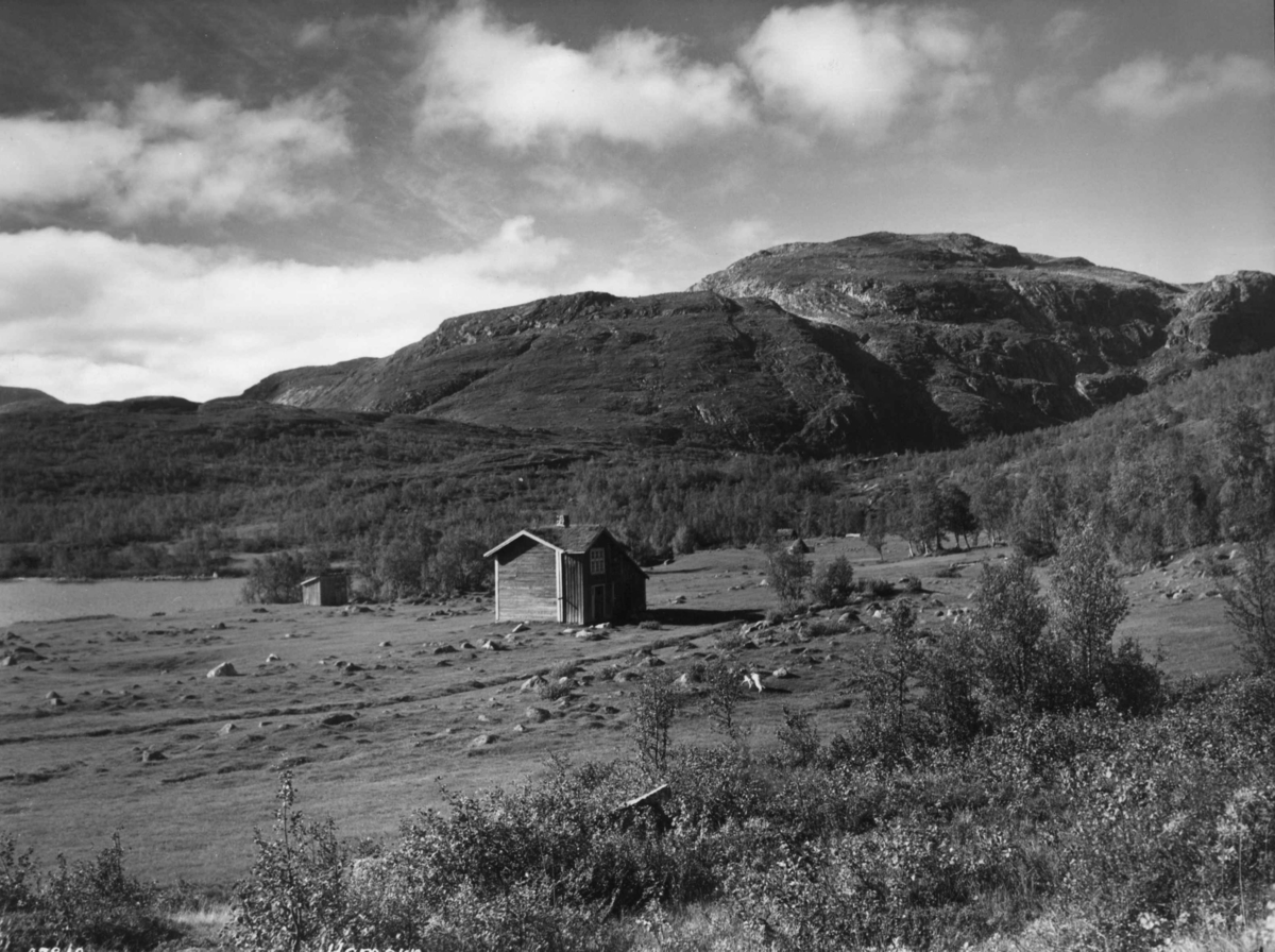 Anders Beer Wilse, Hamaren, Landskap, Mosvatnet