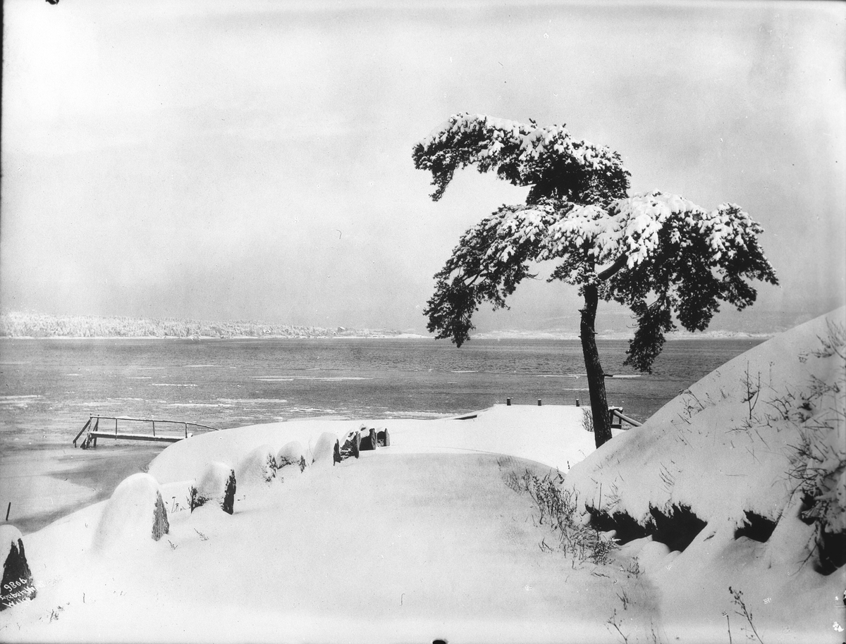 Anders Beer Wilse, Prot: Strandparti ved Dampskibsbrygge 3/2 1909