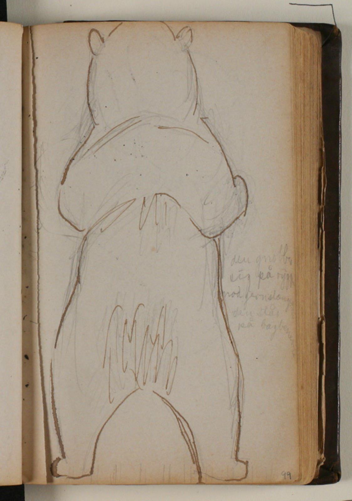 Niels Larsen Stevns, Studie af brun bjørn