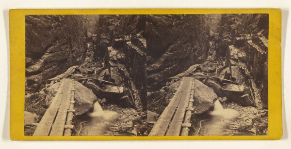 Edward and Henry T. Anthony & Co., General View of the Flume, Lincoln, New Hampshire. [White Mountain - Franconia Range.]