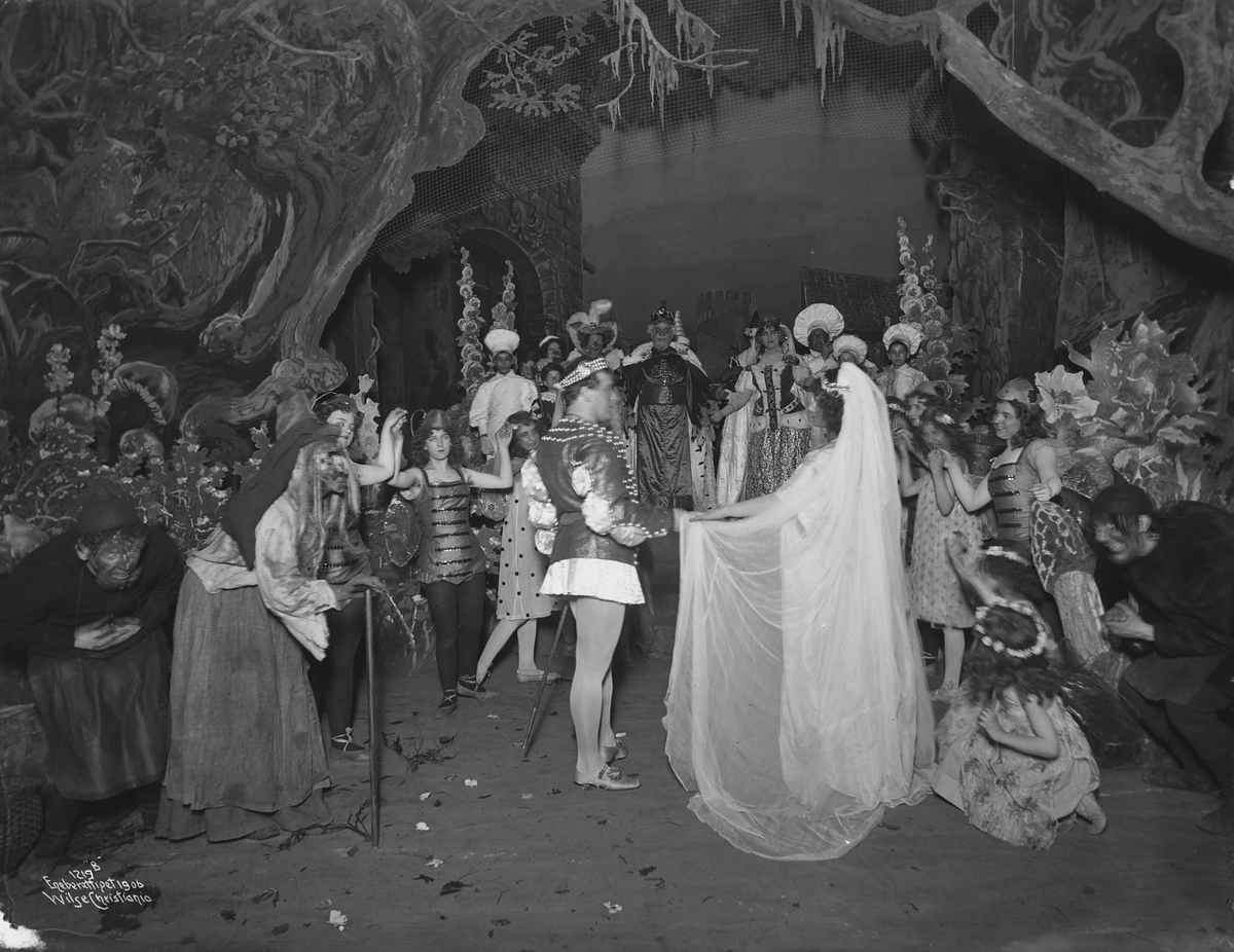 Anders Beer Wilse, Prot: Den lille stygge Prinsesse National Slutning