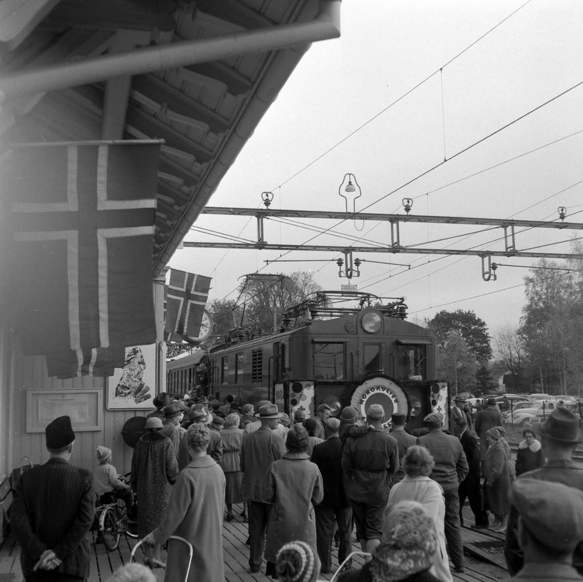 Adolf Skjegstad, ASK-04613