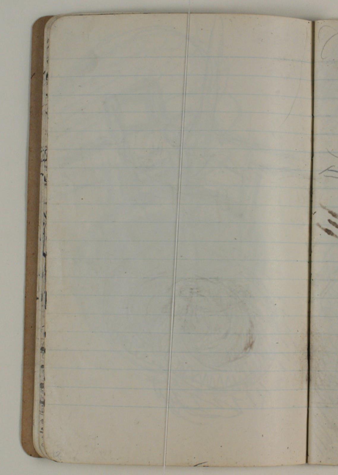 Niels Larsen Stevns, Blank