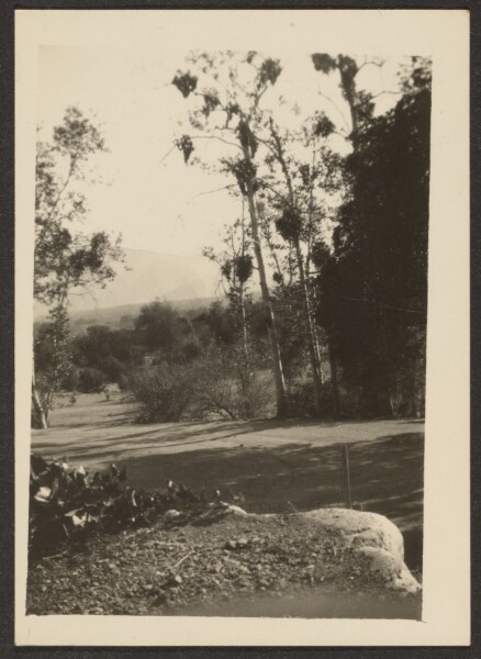 Louis Fleckenstein, [Landscape]