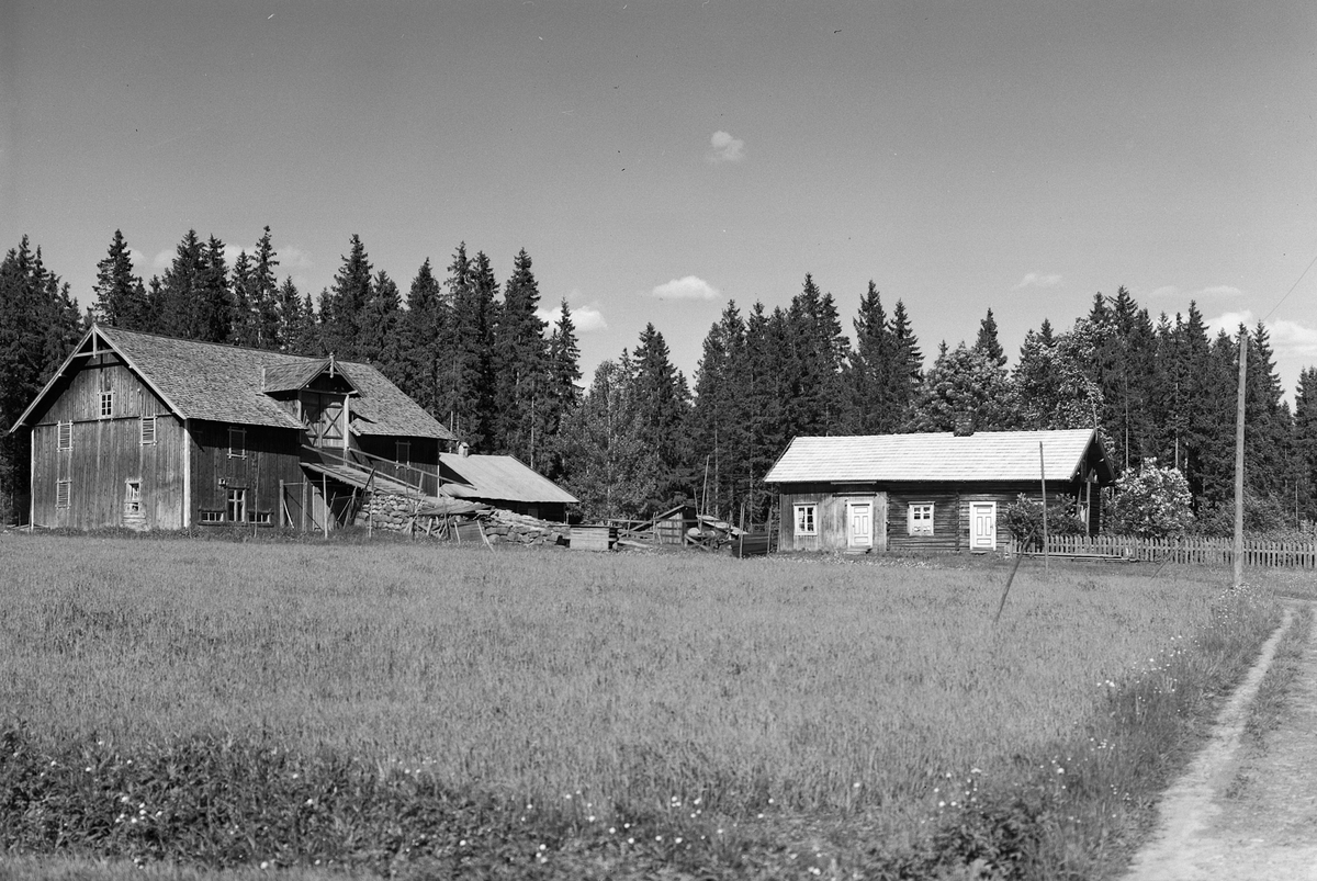 Anno Domkirkeodden, EKSTR: GARDSTUN, MARKEN. Se Løtenboka, bind 2. Bygdeboka fra 1953, side 350
