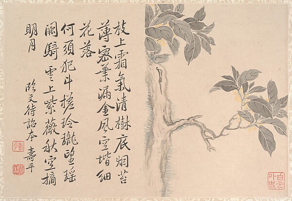 Unidentified artist, Cassia Tree