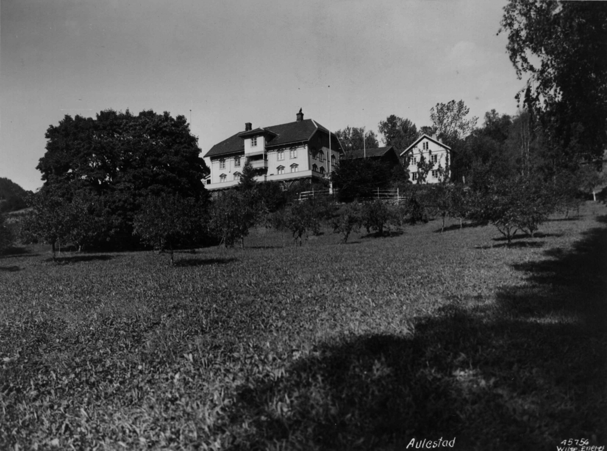 Anders Beer Wilse, Aulestad