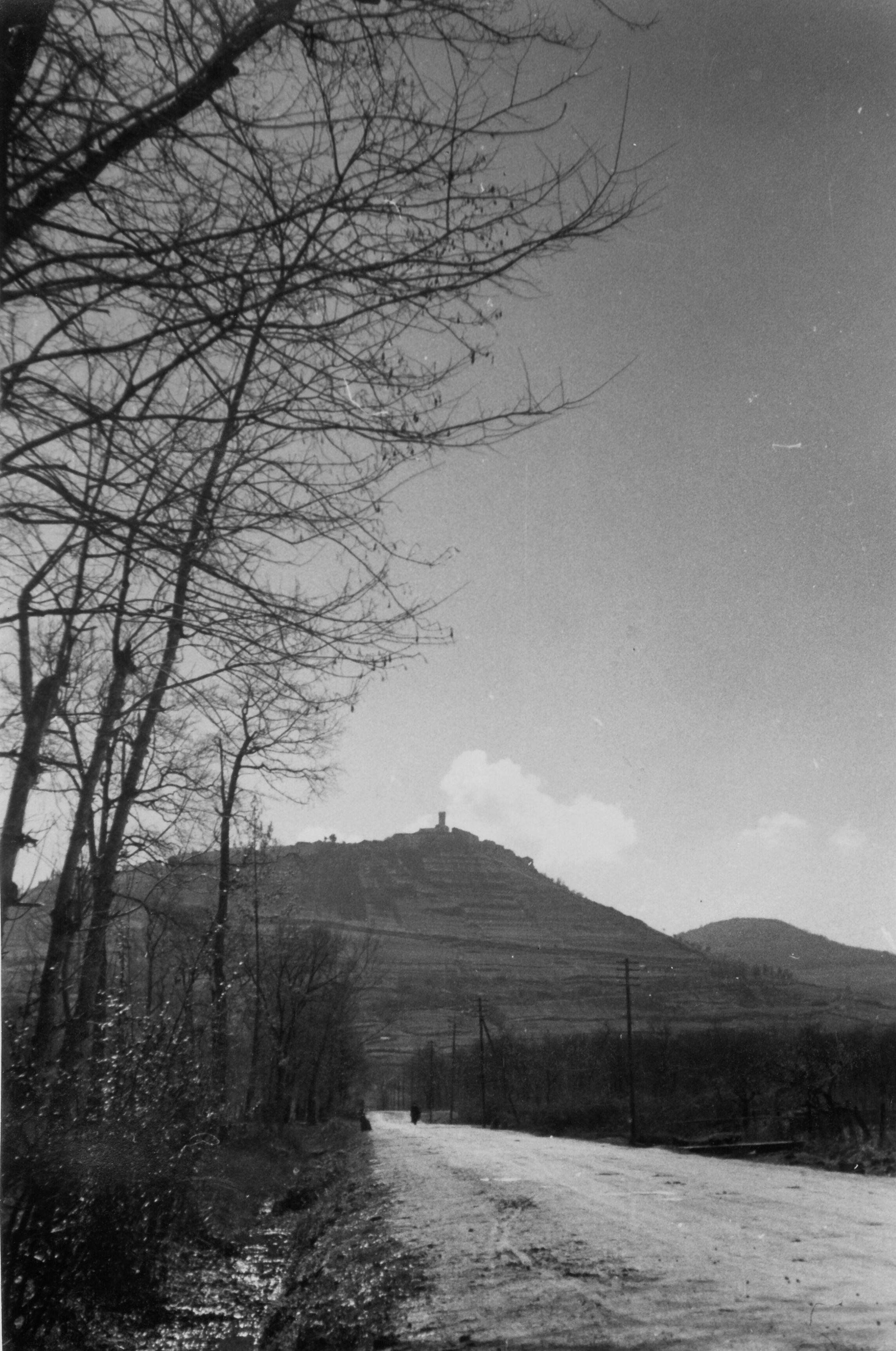 Branko Fučić, Motovun, panorama