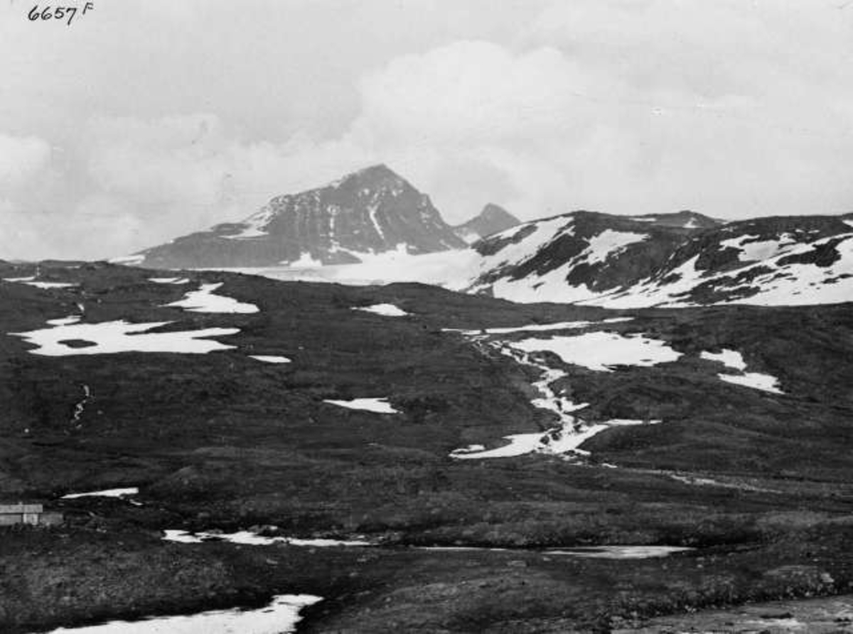 Anders Beer Wilse, -7292