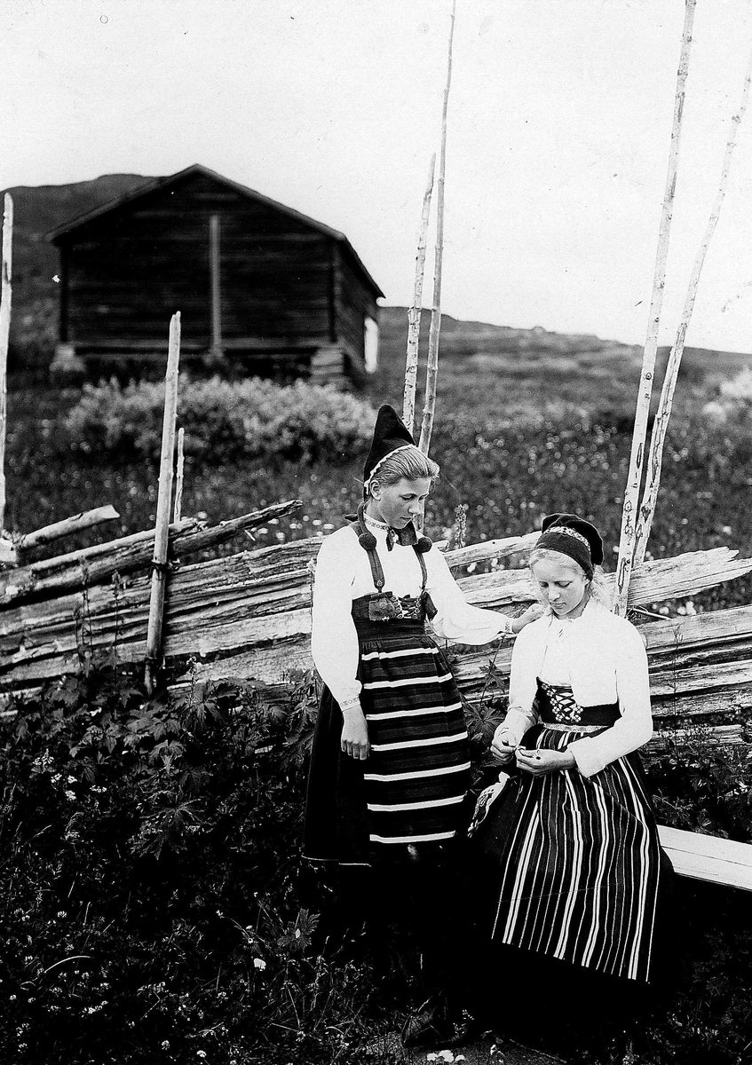 Robert Collett, To kvinner foran skigard i landskap, ukjent sted, i drakter fra Rättvik, Dalarne, Sverige. Serie tatt av Robert Collett (1842-1913), amatørfotograf og professor i zoologi.