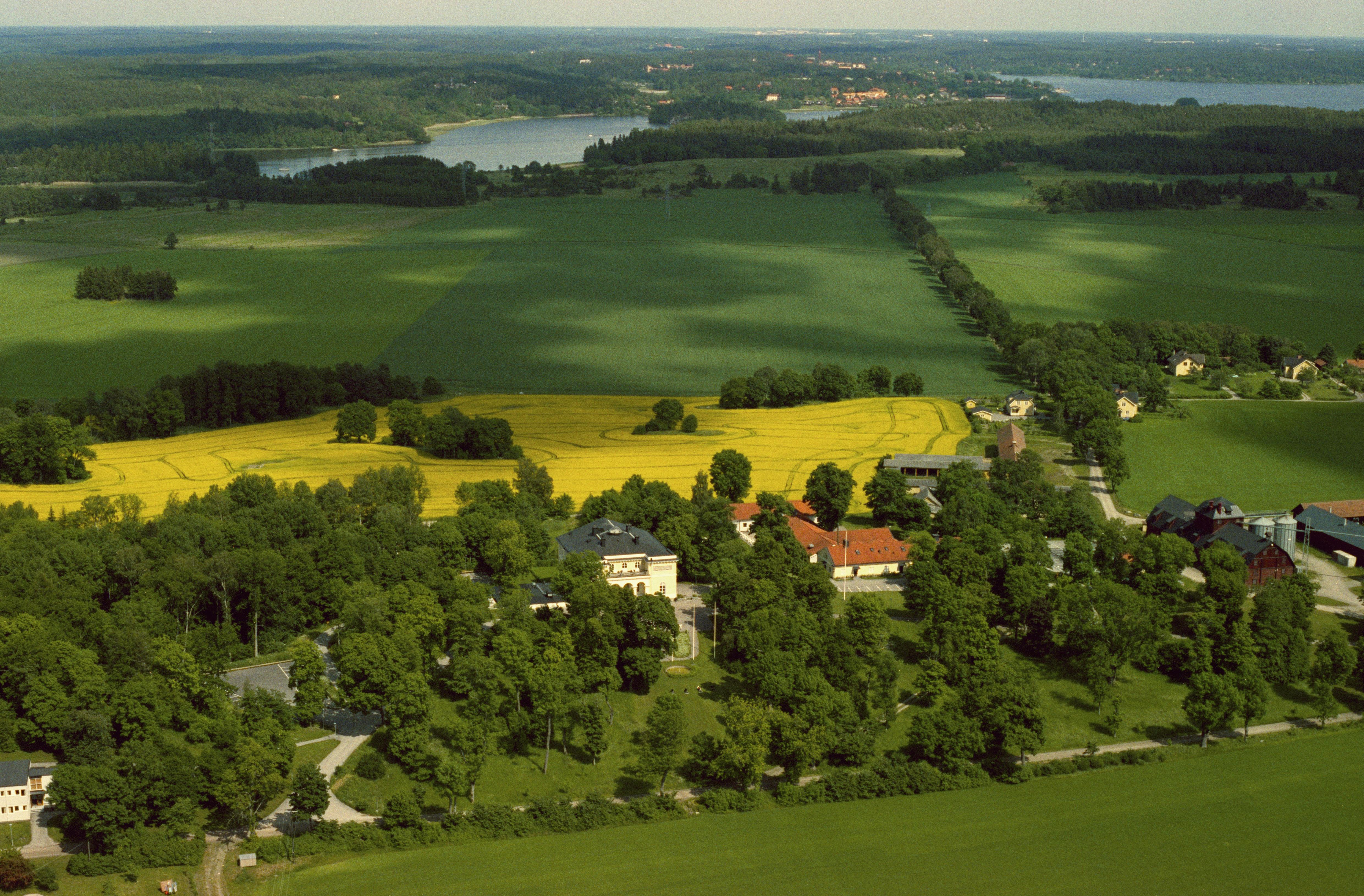 Jan Norrman, Håtuna 109:1