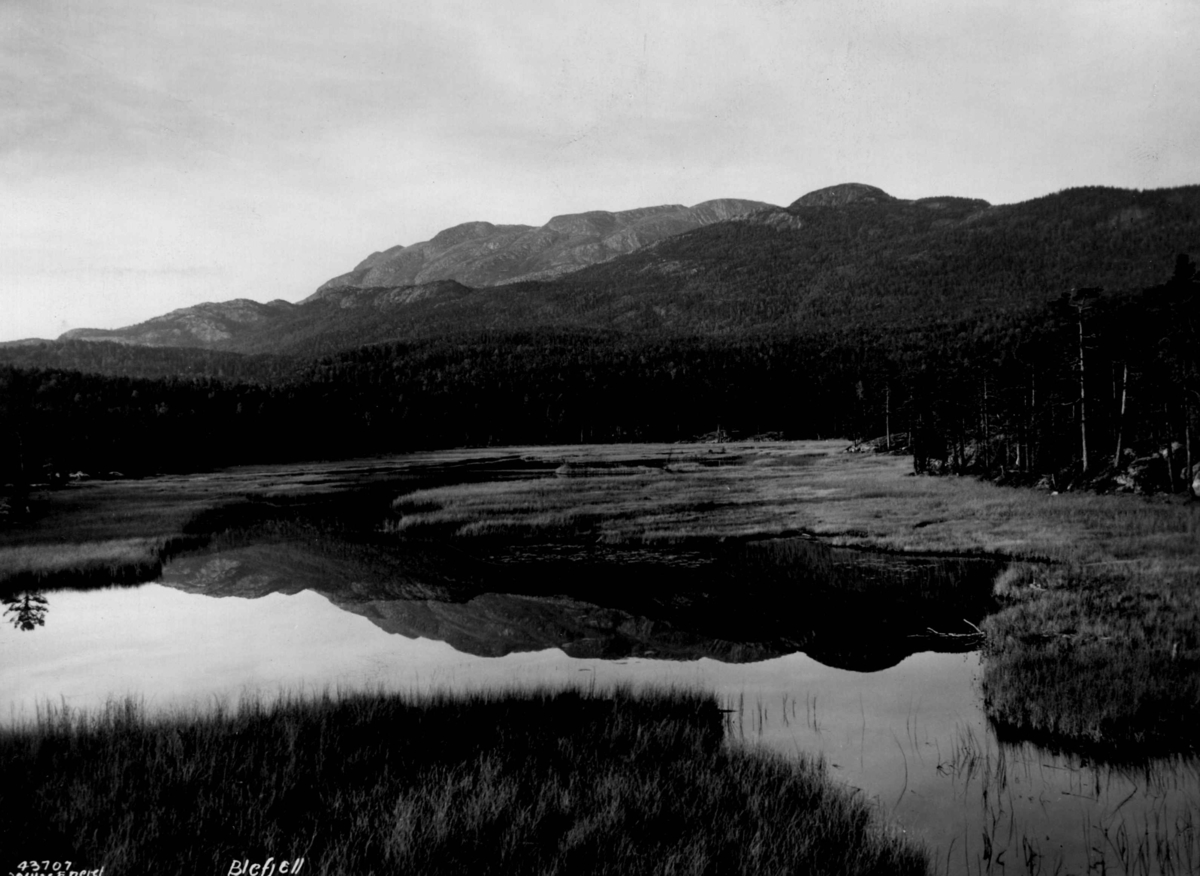 Anders Beer Wilse, Landskap med vann og fjell på Blefjell.
