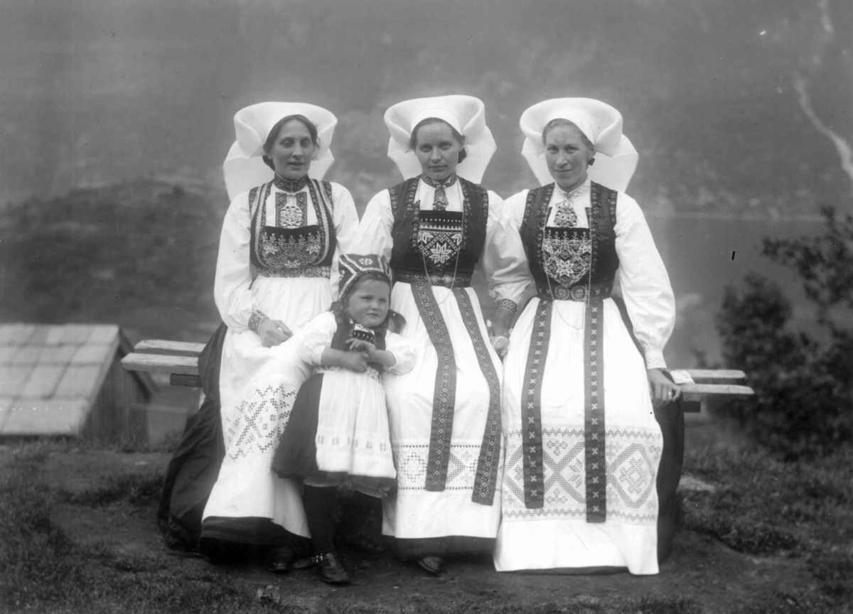 Anders Beer Wilse, Drakt, Kvinnedrakter, Grupper