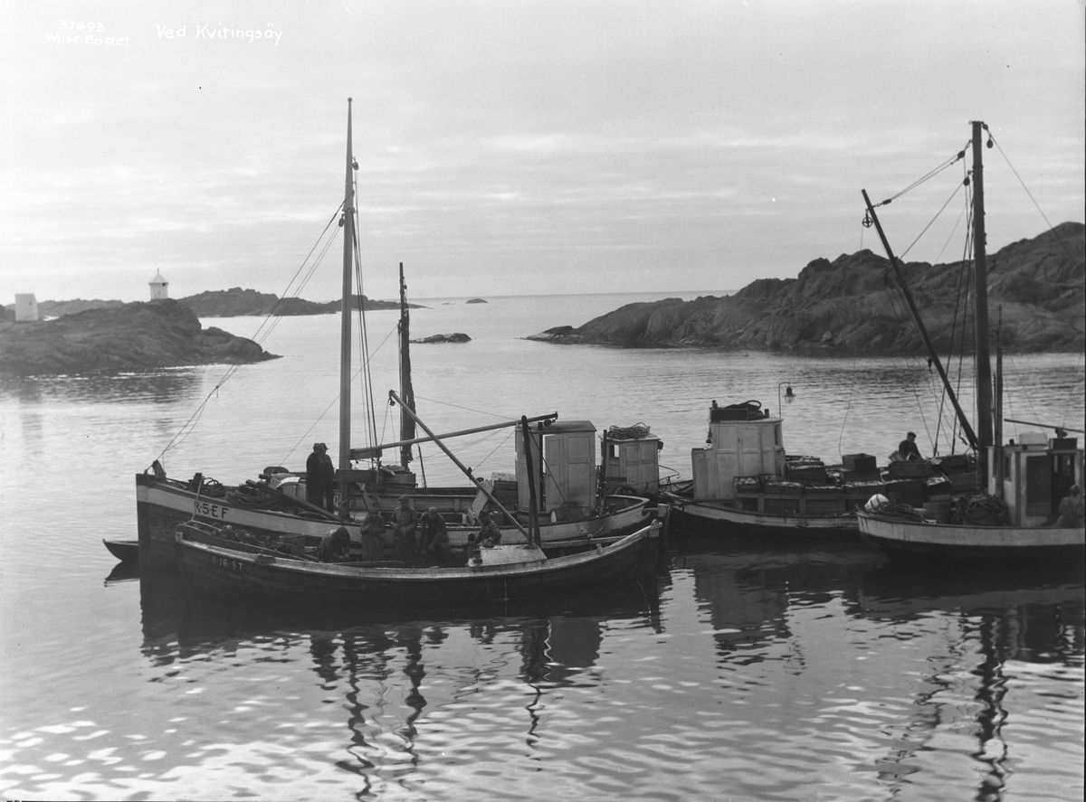 Anders Beer Wilse, Prot: Kvitingsøy, fiskeflaate