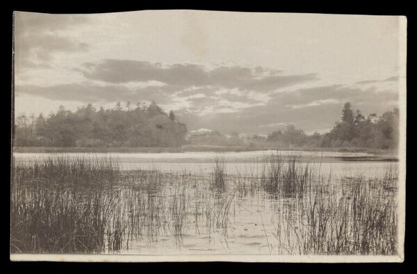 Gale, Lt. Col. Joseph, Landscape