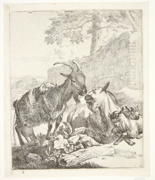 Johann Heinrich Roos, Stående og liggende ged, to gedekid til højre