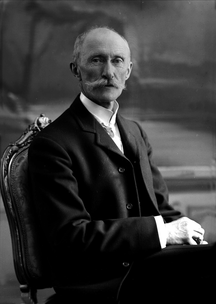 Gustav Borgen, Portrett, eldre mann med bart. "Herr Skøien", muligens fotograf Marthinius Skøien.