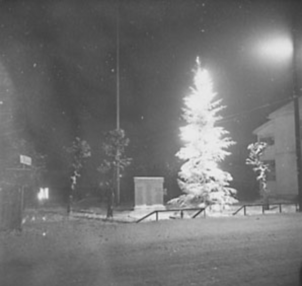 Anno Domkirkeodden, TENT JULETRE, STANGEBYEN