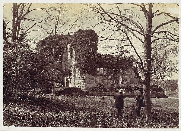 Unknown, Near Wilty