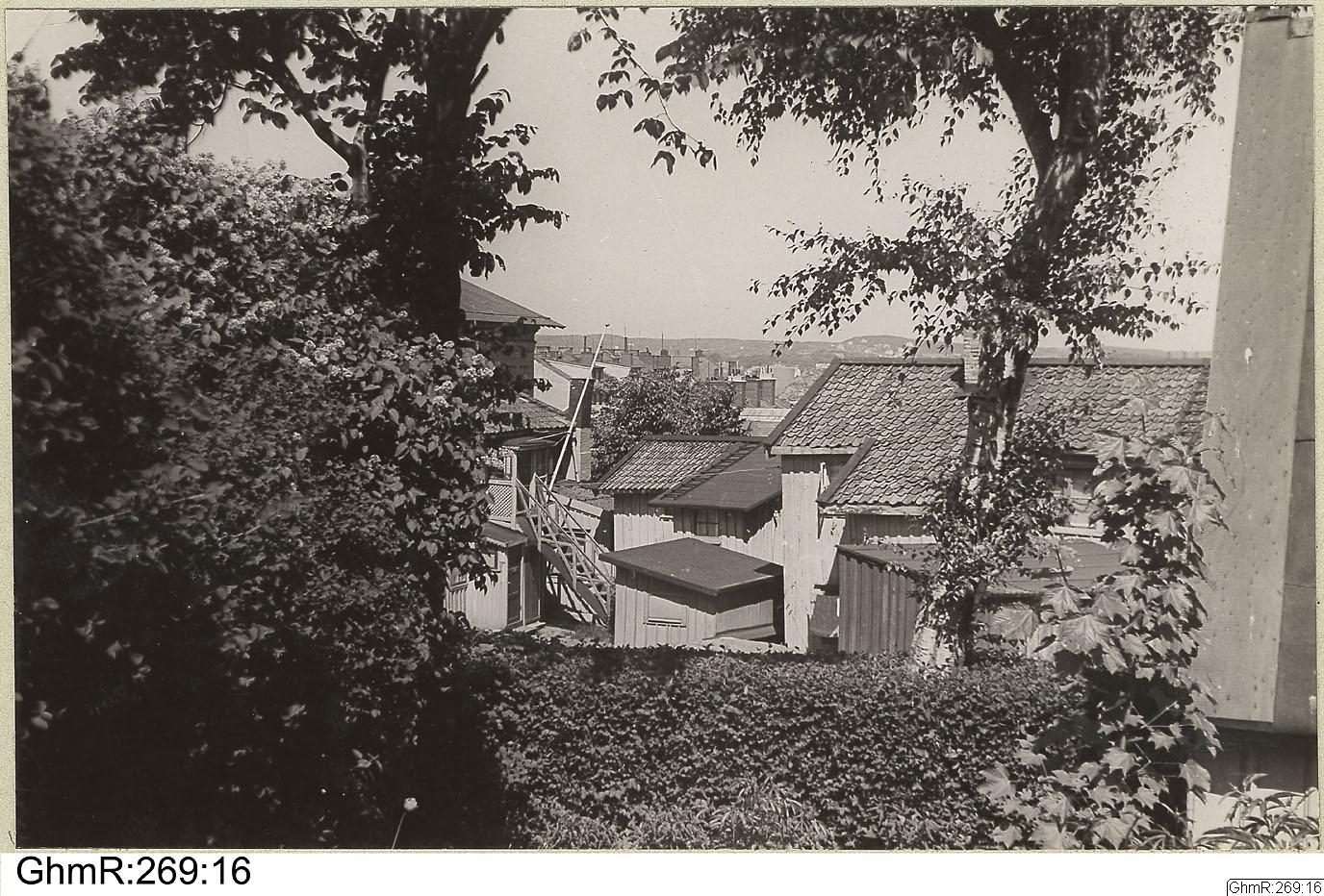 Otto Thulin, fotografi, bilder